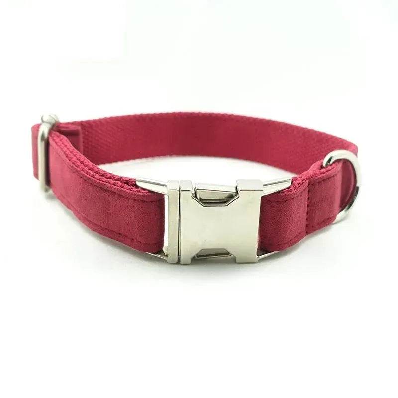 Pet Traction Collar Tactical Dog Collars - Velora