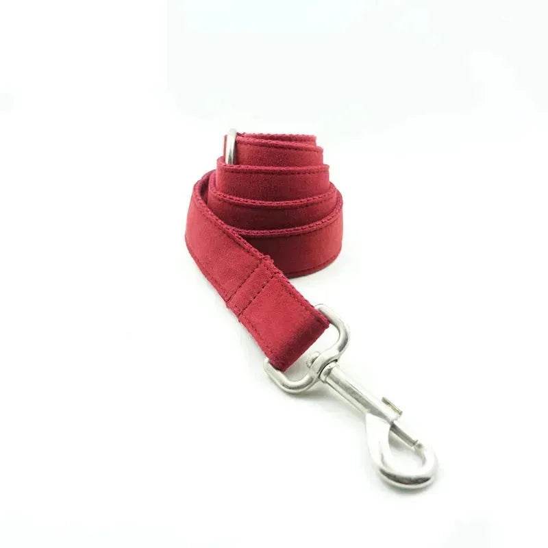 Pet Traction Collar Tactical Dog Collars - Velora
