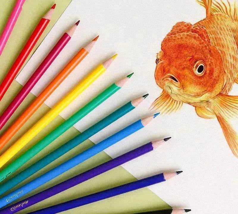 24 Color Creative Color Lead Set Training Organization - Velora