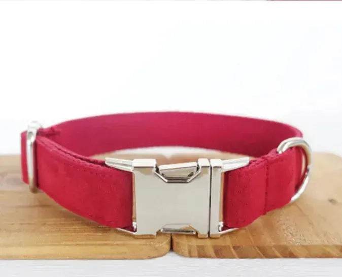 Pet Traction Collar Tactical Dog Collars - Velora