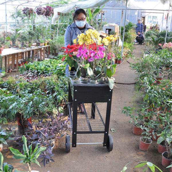 Rolling Mobile Raised Garden Bed Cart Planter Garden Bed Cart - Velora