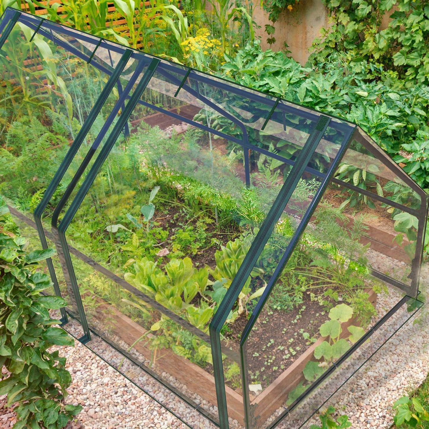1Pc Portable Mini Greenhouse 70.86x33.46x37.4in With Roll-Up Zipper Doors Waterproof UV-Resistant PVC Cover Hot House For Indoor Outdoor Garden Patio Yard - Velora