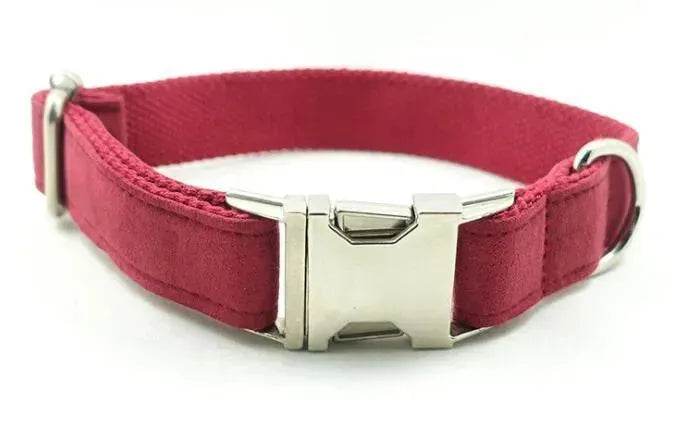Pet Traction Collar Tactical Dog Collars - Velora