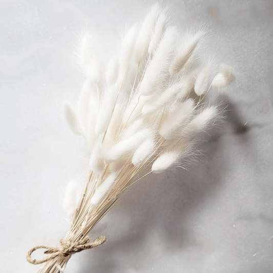 Bunnytails - White - Velora Luxury Fashion