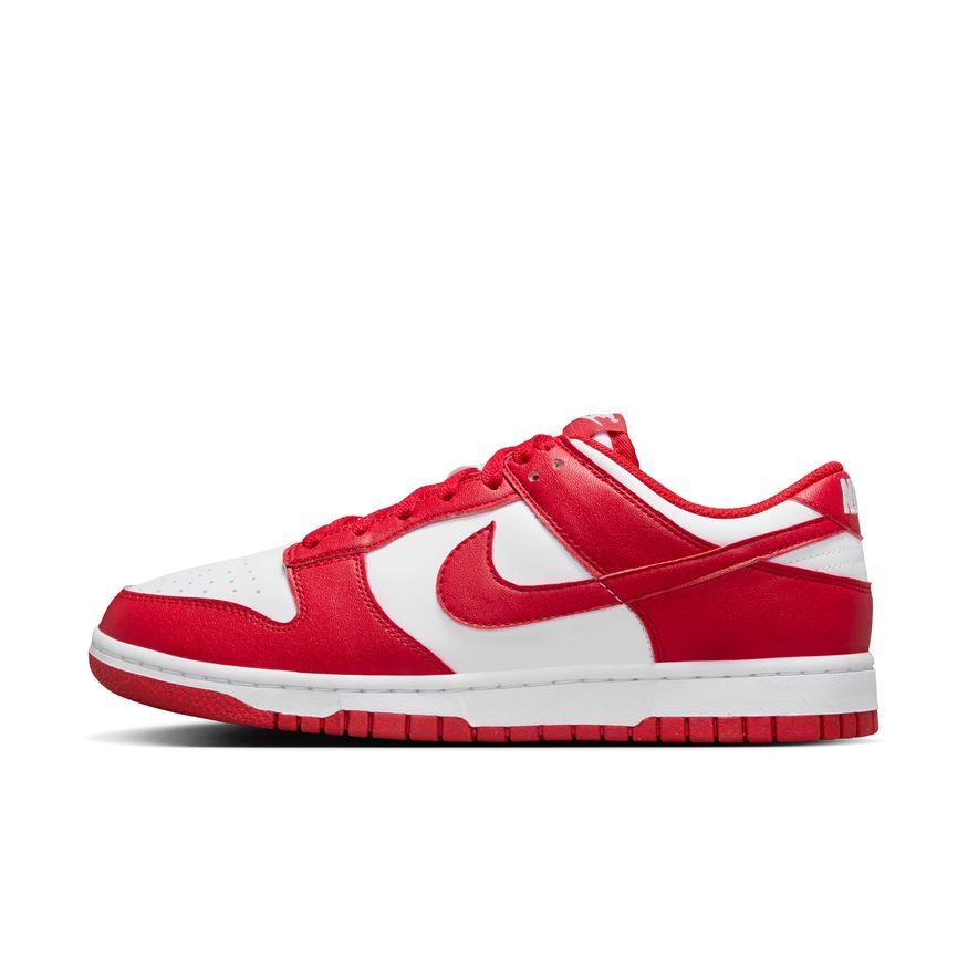 W Nike Dunk Low Next Nature DD1873-116 - Velora