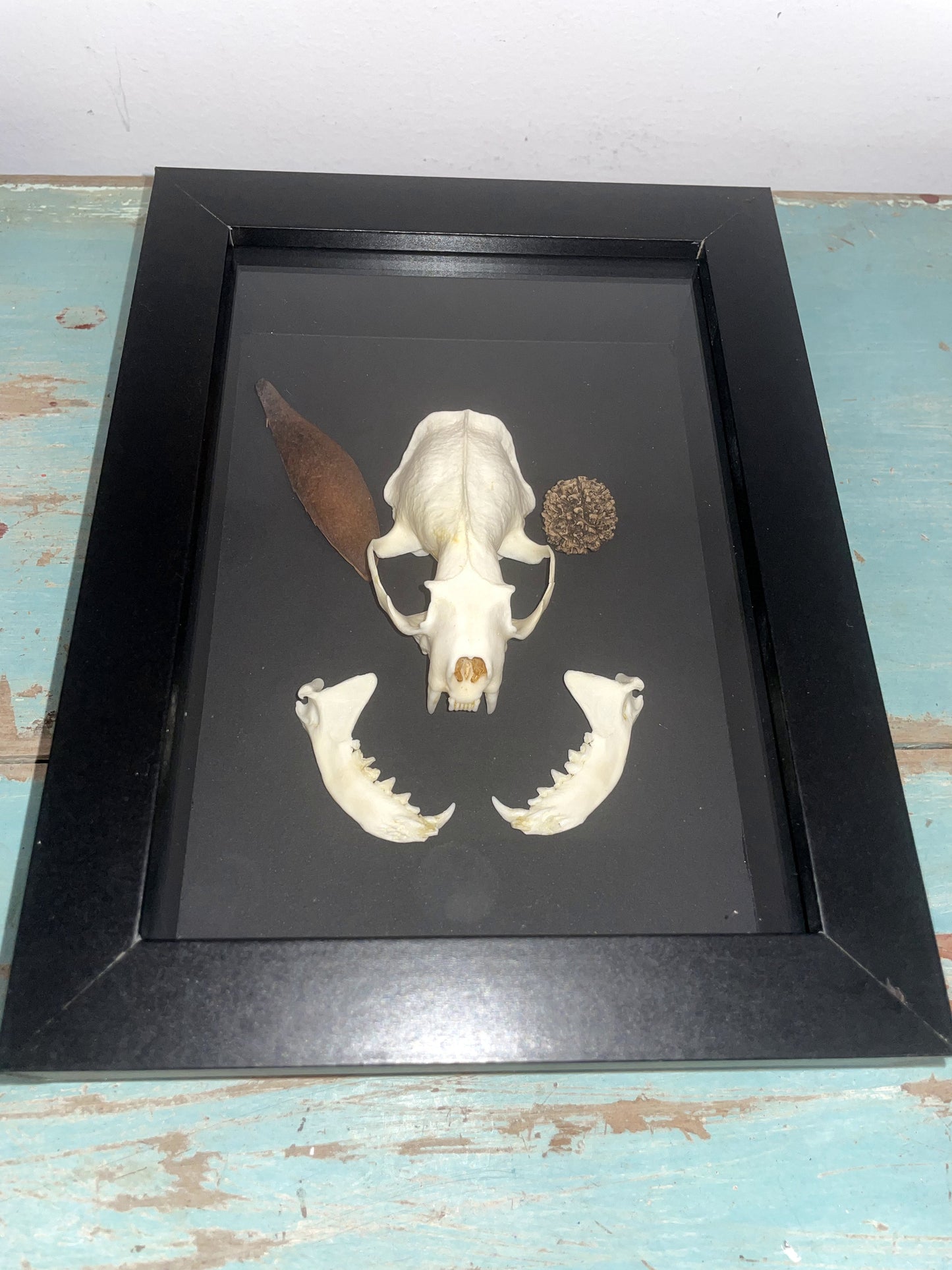 Mink Skeleton in a Frame - Velora Luxury Fashion