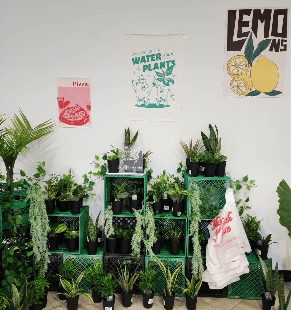 Plant Bar - Velora Luxury Fashion