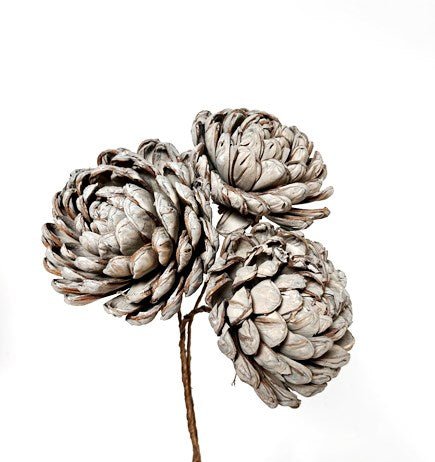 Sola Chrysanthemum - Velora Luxury Fashion