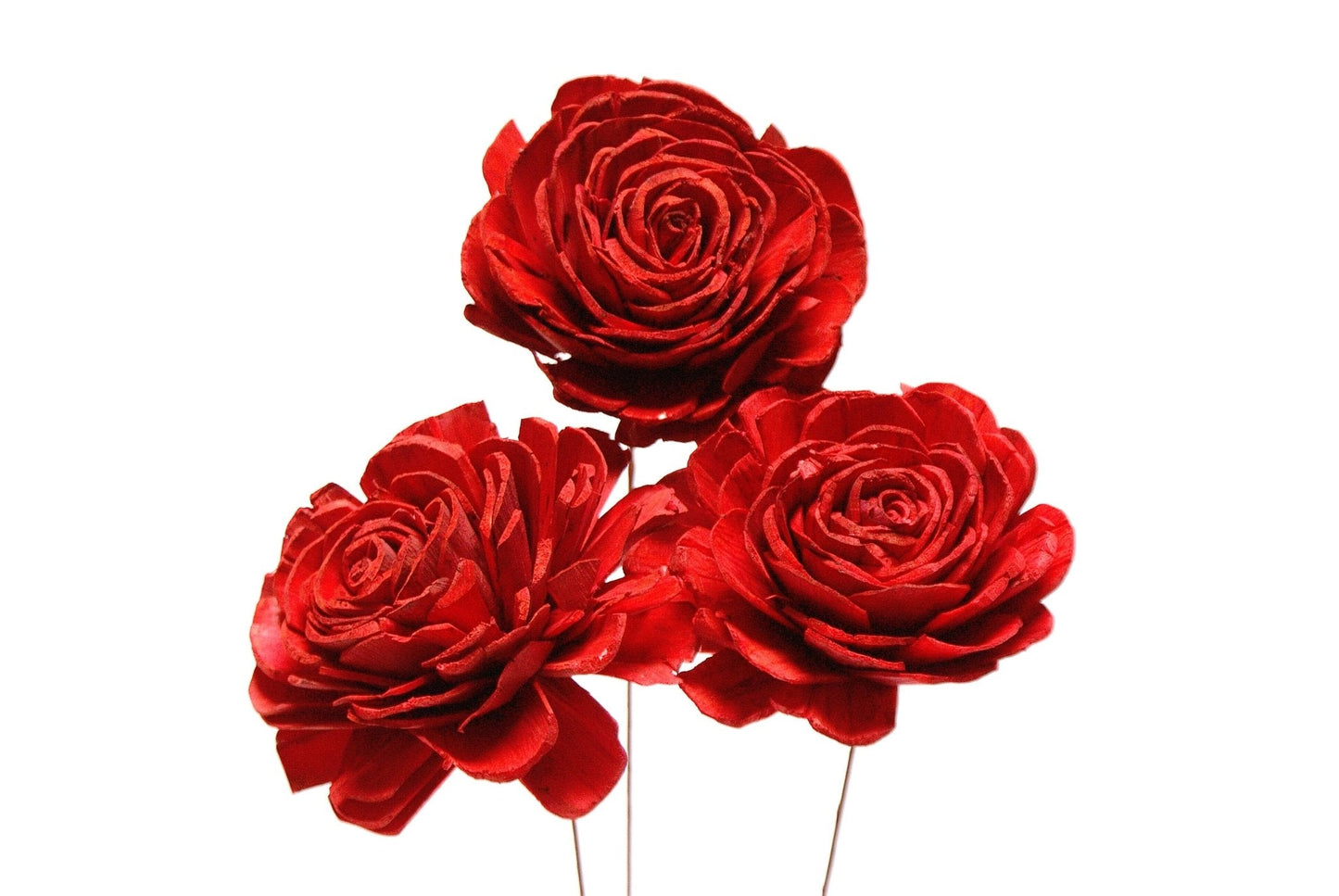 Sola Roses Large - Velora Luxury Fashion