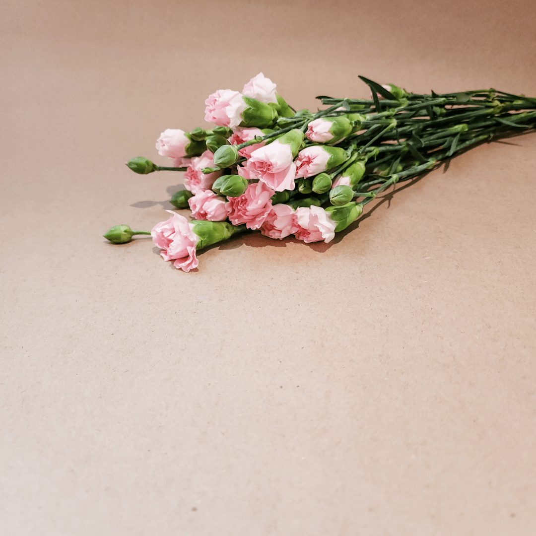 Spray Carnations Pink - Velora Luxury Fashion