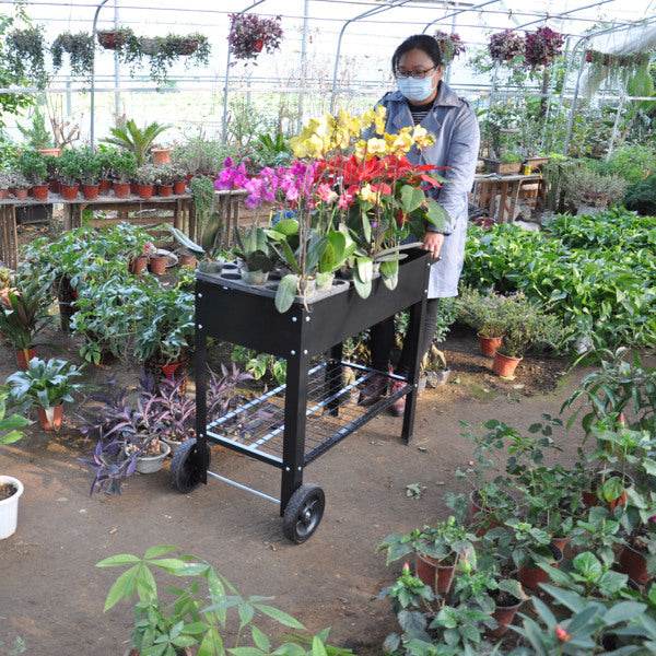 Rolling Mobile Raised Garden Bed Cart Planter Garden Bed Cart - Velora