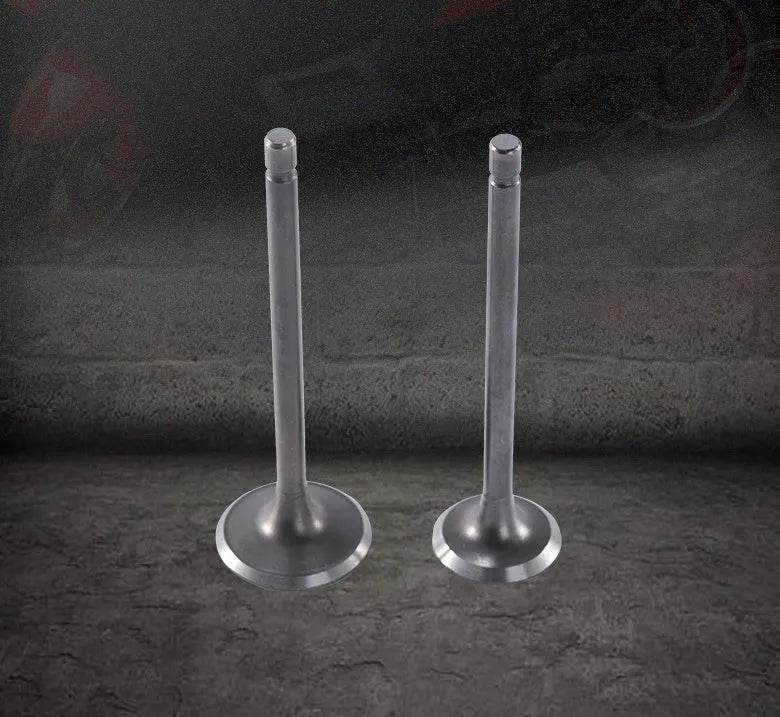 2PCS Motorcycle Engine Nose Alloy Parts Valve CG125 - Velora