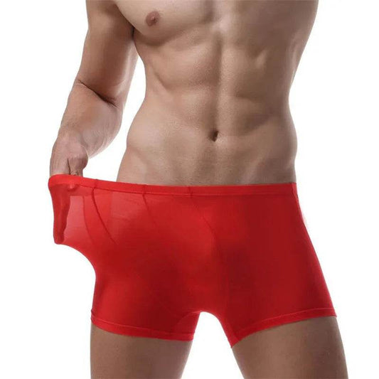 Ice Silk Transparent Elastic Boxer briefs Pant underwear for men - Velora