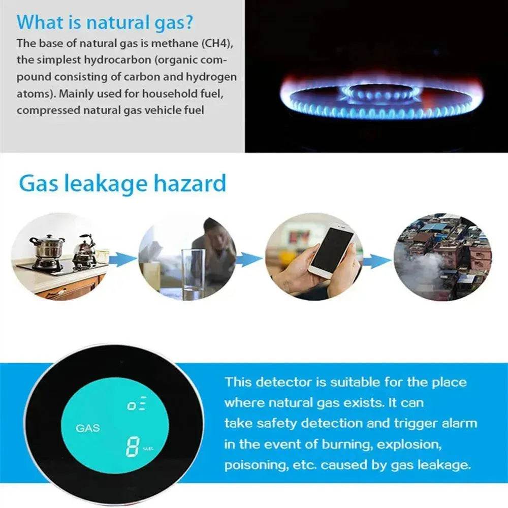 Smart Wireless WIFI High Sensitive Remote Control Gas Detector Smart Gas Leak Sensor - Velora