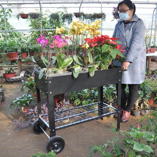 Rolling Mobile Raised Garden Bed Cart Planter Garden Bed Cart - Velora