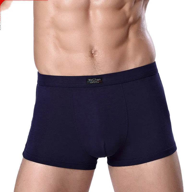 Men's Underwear Boxer Briefs Panties Bamboo Fiber Modal
