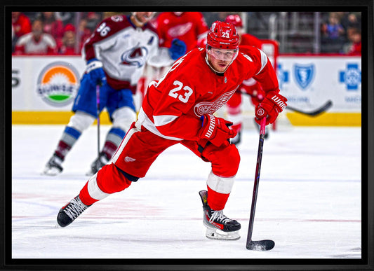 Lucas Raymond 20x29 Framed Canvas Detroit Red Wings Frameworth Sports Marketing
