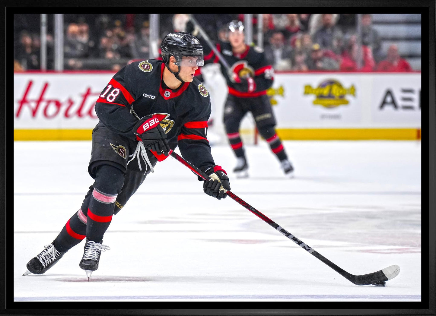 Tim Stutzle 20x29 Framed Canvas Ottawa Senators Frameworth Sports Marketing