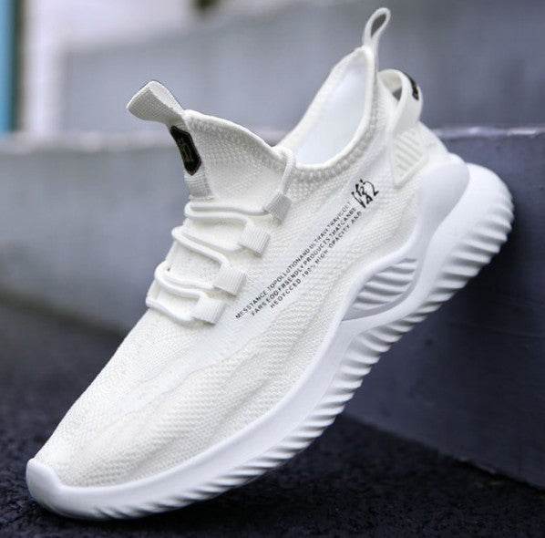Explosive Style Men S Shoes Korean Net Shoes Cloth Shoes - Velora