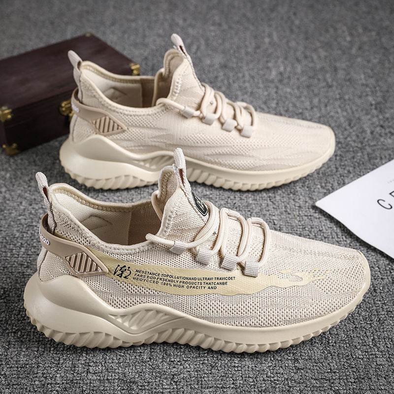Explosive Style Men S Shoes Korean Net Shoes Cloth Shoes - Velora