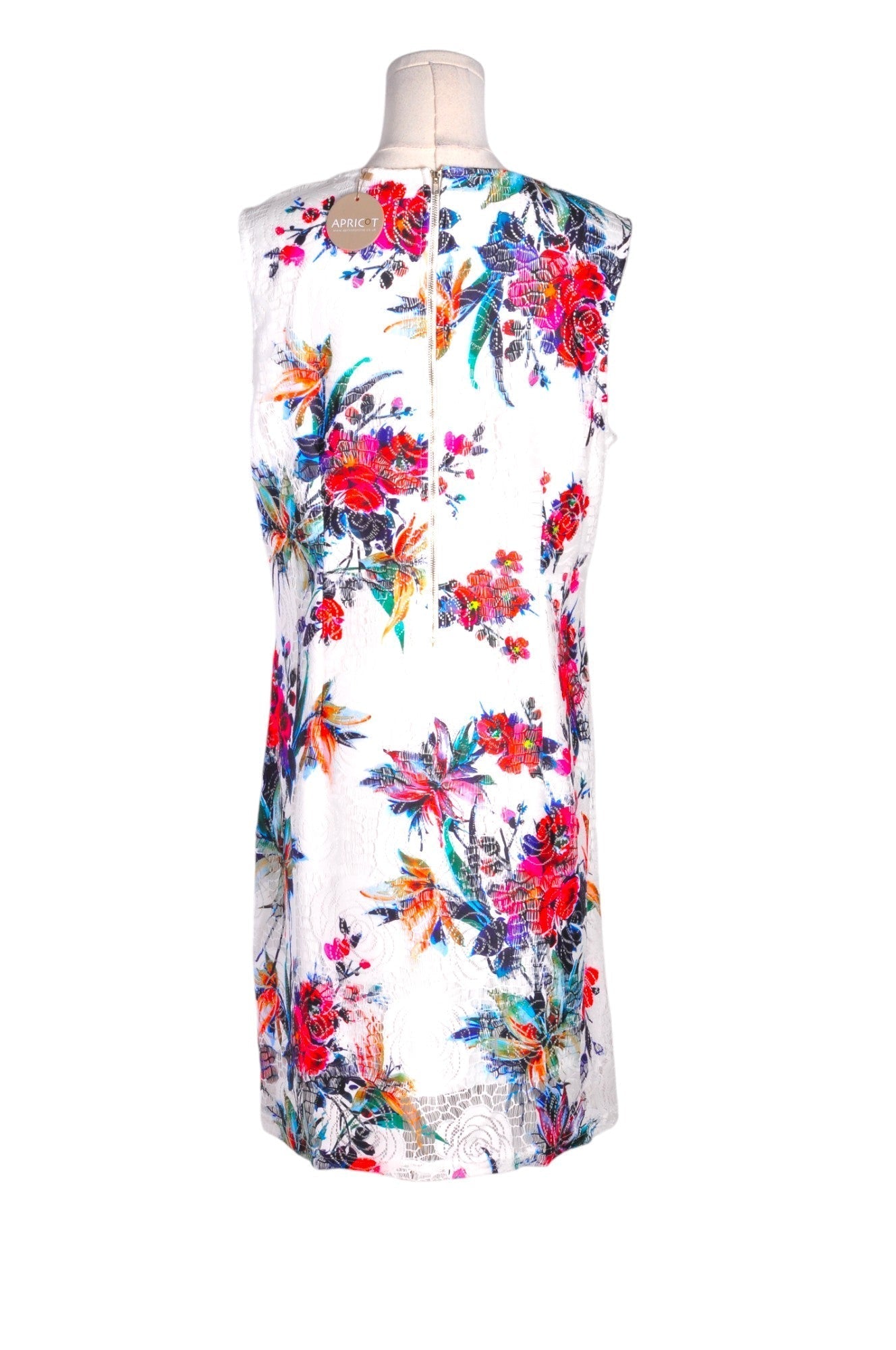 APRICOT Women A-Line Dresses Regular fit in White - XL Koop