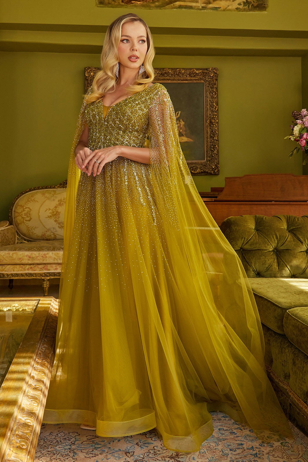 princess long sleeve dress