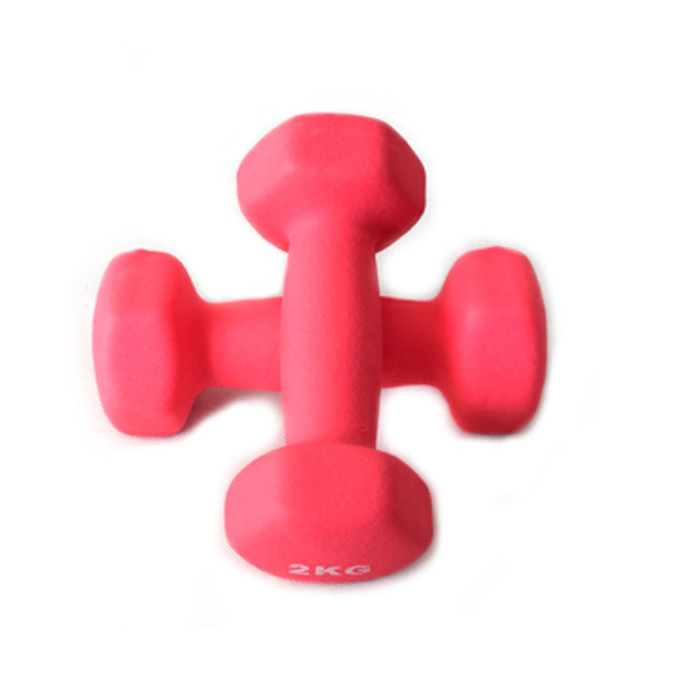 Yoga Dumbbell for Women – Round Compact Fitness Weight