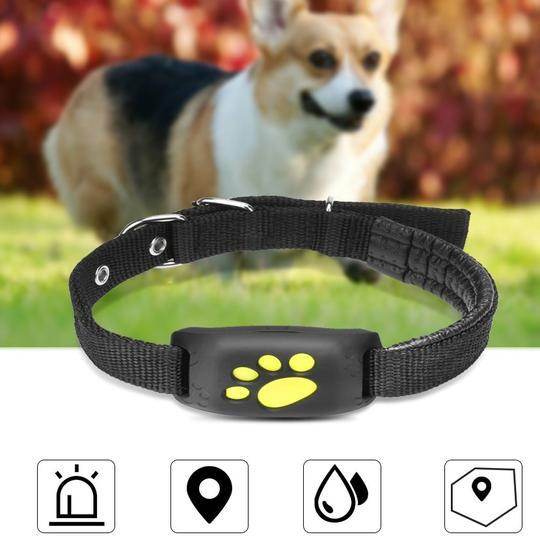 GPS Pet Tracker GPS Dog fence - Velora