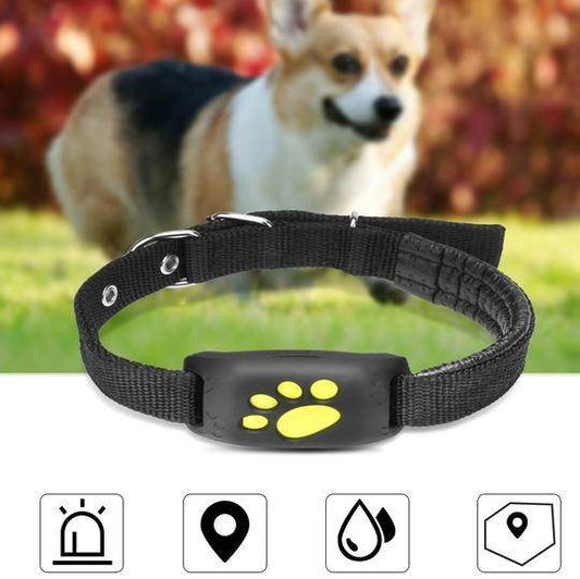 GPS Pet Tracker GPS Dog fence - Velora