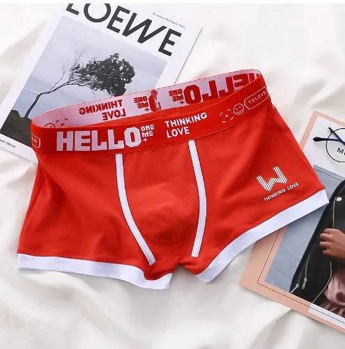 Men's Cotton Boxer Briefs Trendy Breathable Low waist underwear - Velora