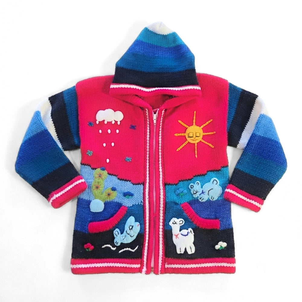 4-5T Kids Hand-Knit Alpaca Wool Sweater Sassy's Garage