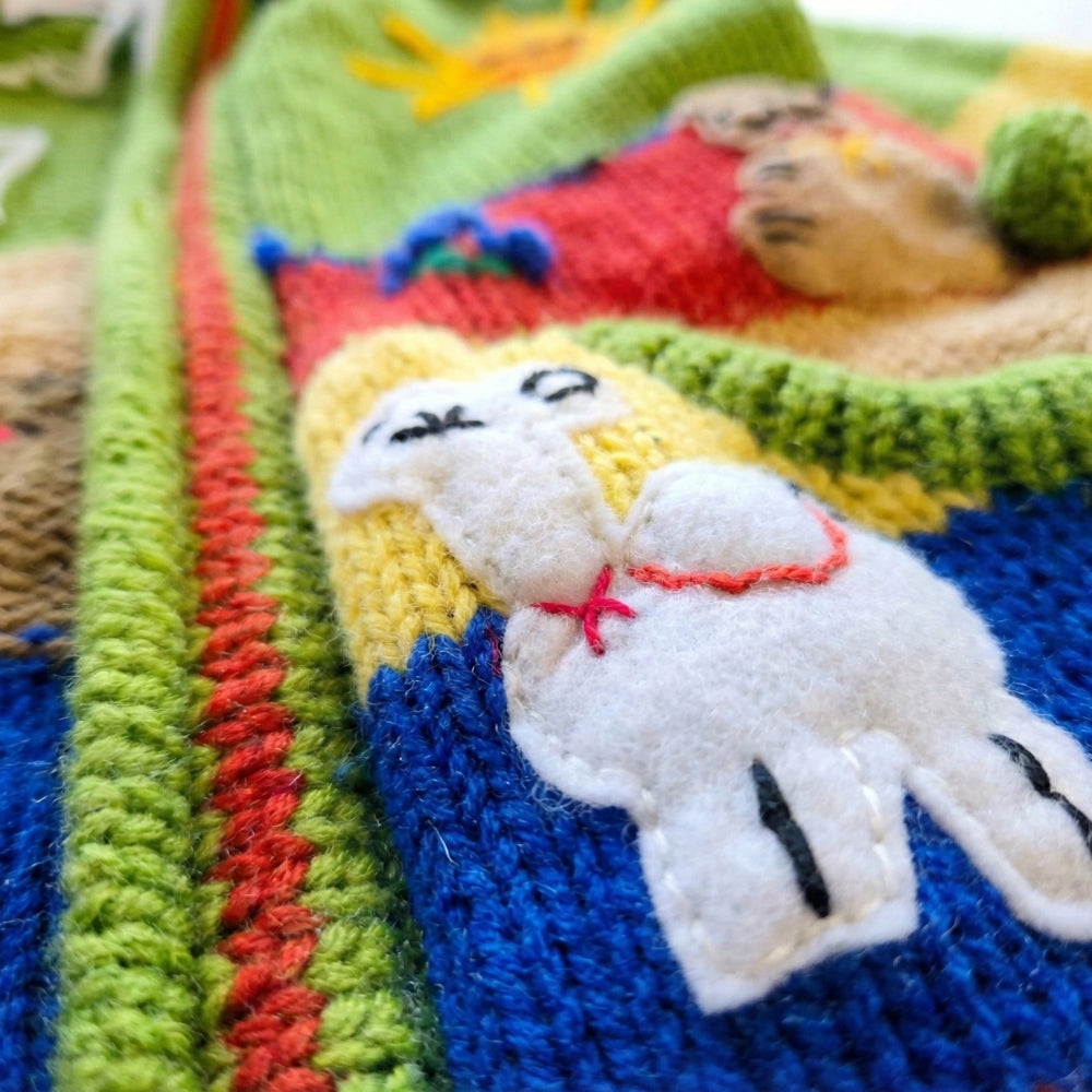 2-4T Kids Hand-Knit Alpaca Wool Sweater Sassy's Garage