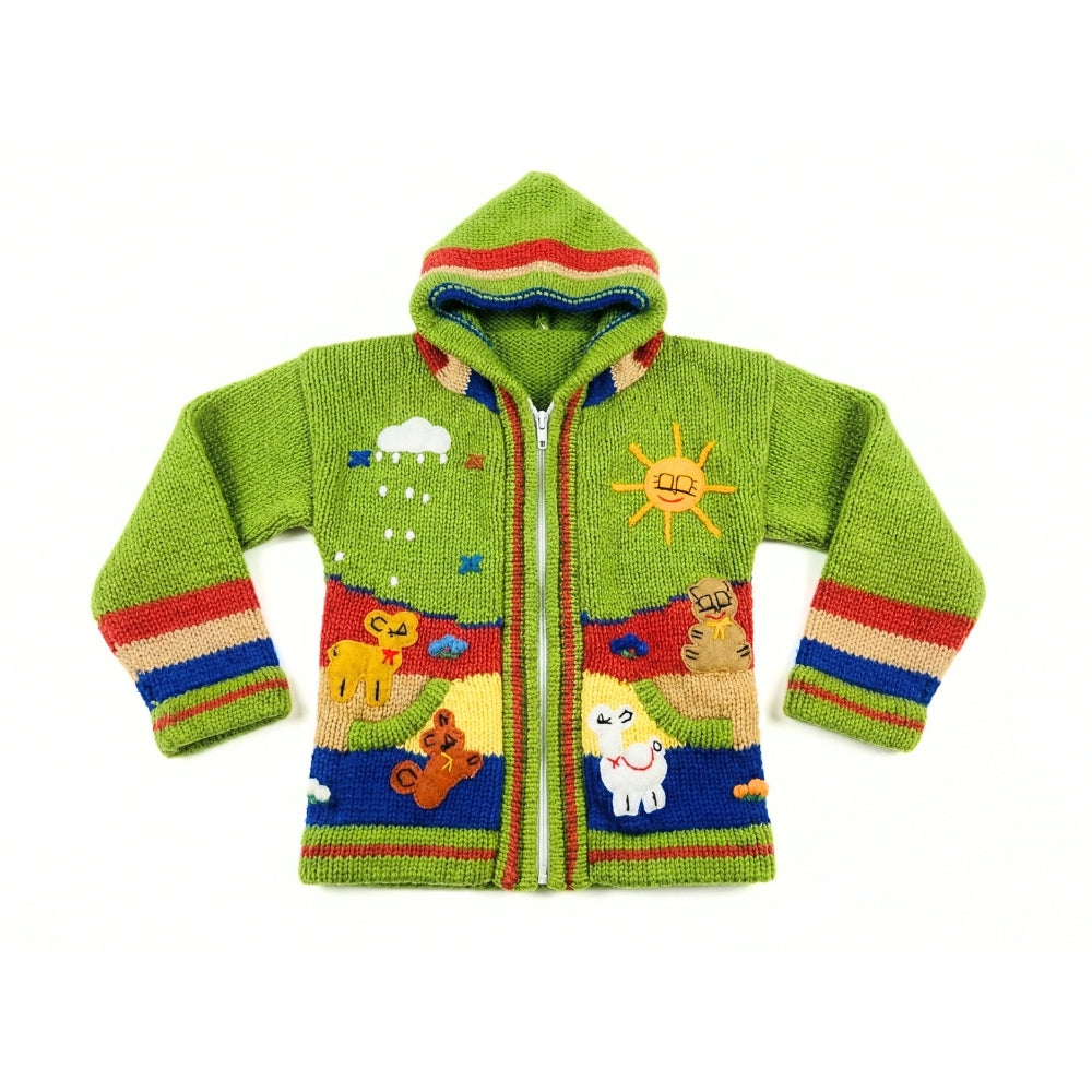 2-4T Kids Hand-Knit Alpaca Wool Sweater Sassy's Garage