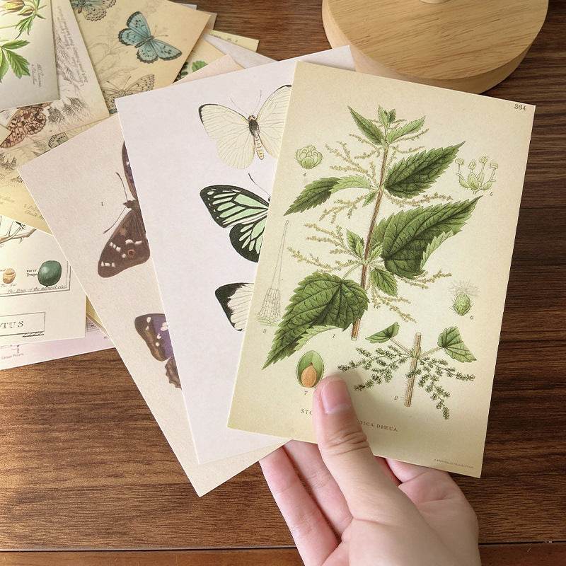 Forest Plant Series Decorative Card Wall Bedroom Postcard Wall Sticker Decoration Decorative Card - Velora