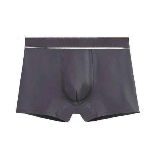 Men's Cotton Graphene Boxers short with pouch Underwear