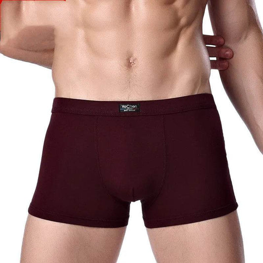 Men's Underwear Boxer Briefs Panties Bamboo Fiber Modal