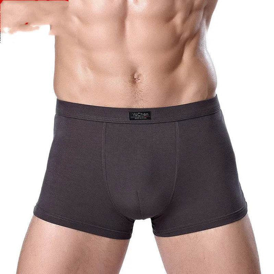 Men's Underwear Boxer Briefs Panties Bamboo Fiber Modal