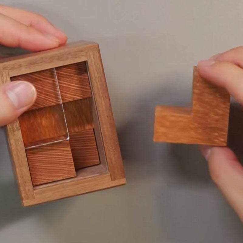 Einstein Lock Wooden Puzzle International Braised Brain Decompression - Velora