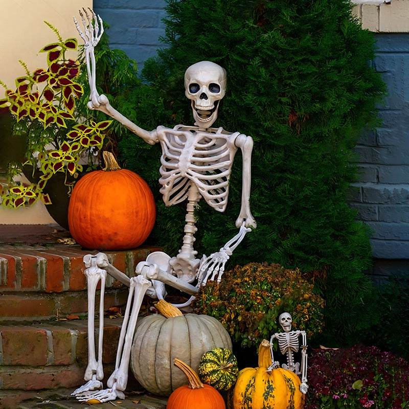 Halloween Movable Joint Skeleton Plastic Model 90cm Party Outdoor Decoration Props - Velora