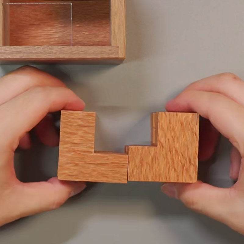 Einstein Lock Wooden Puzzle International Braised Brain Decompression - Velora