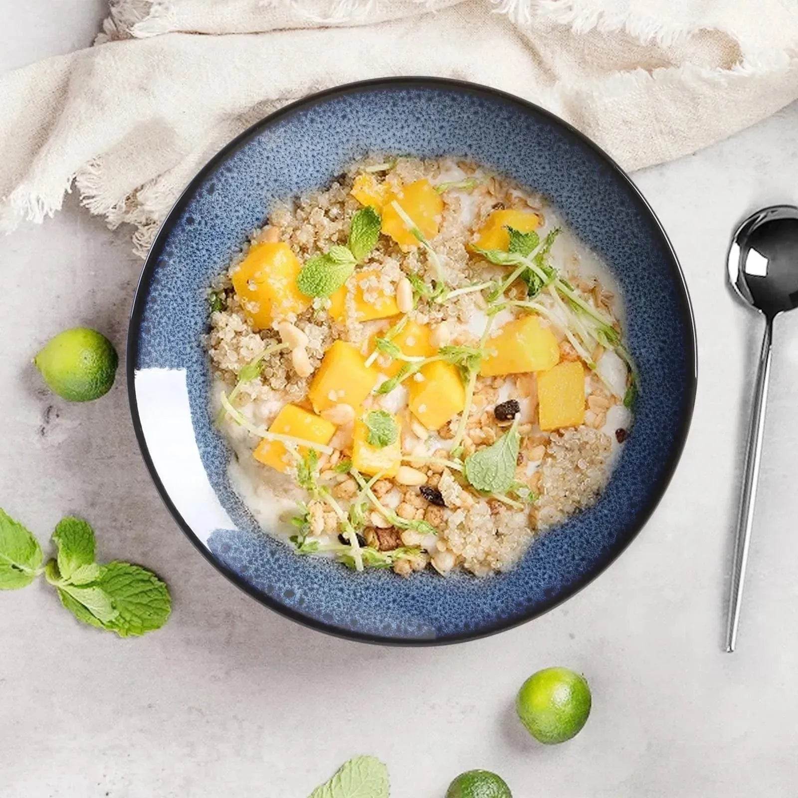 Buy 6pcs Flat Ceramic Dinner Plates - Velora