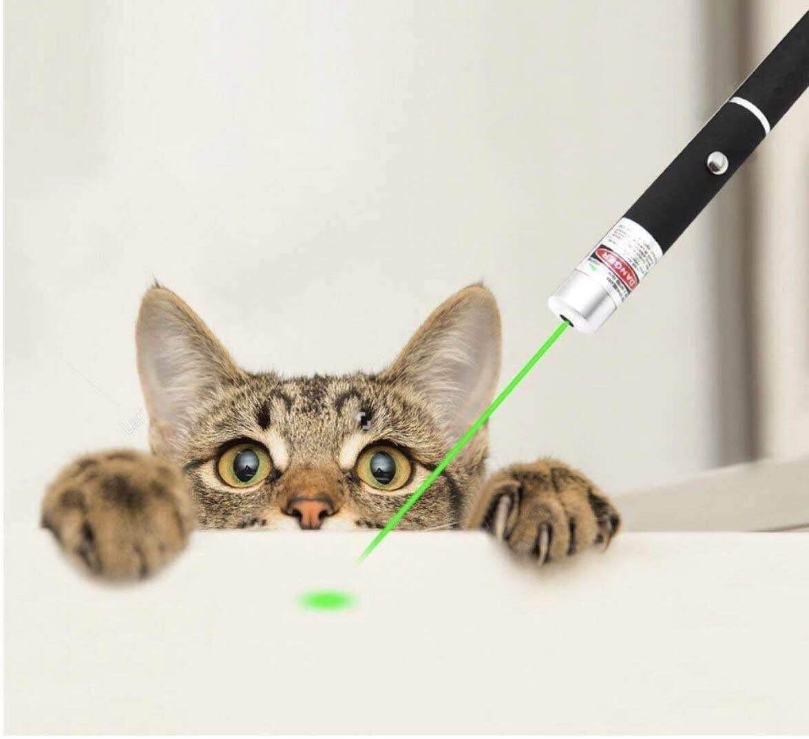 Pet Toy Green Laser Pointer Pen Light Single Beam High Power Lazer Flashlight 900Miles 1mW 532nm Torch - Velora