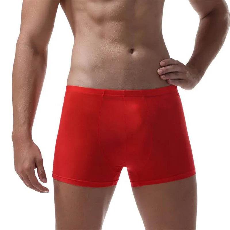 Ice Silk Transparent Elastic Boxer briefs Pant underwear for men - Velora