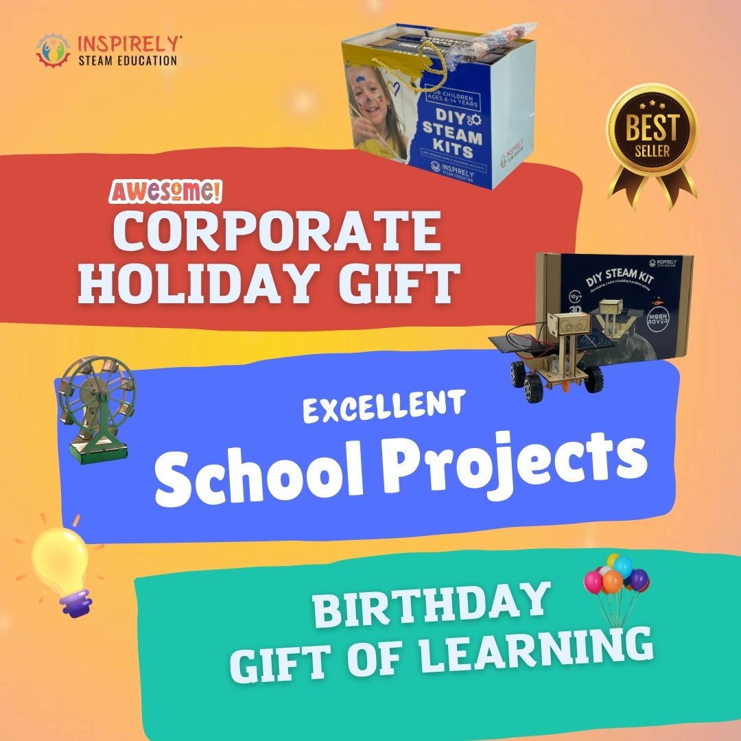 Basketball Catapult | DIY STEM Kit / Project | For Ages 6-99 Yrs - Velora Luxury Fashion