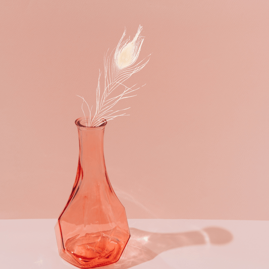 Bleached Peacock Feathers - Velora Luxury Fashion