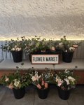 Blooms to Bouquets - Velora Luxury Fashion