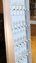 Bubbly Champagne Wall - Velora Luxury Fashion
