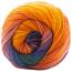 COLORFUSION DK | Premier Yarns Collection - Velora Luxury Fashion