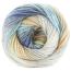COLORFUSION DK | Premier Yarns Collection - Velora Luxury Fashion