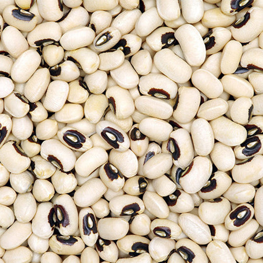 Choli (Black Eye Bean) - Velora